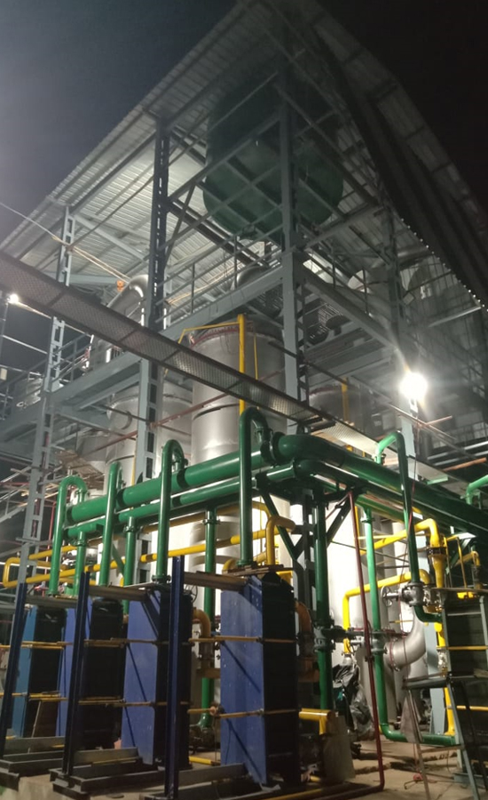 Plant view 4