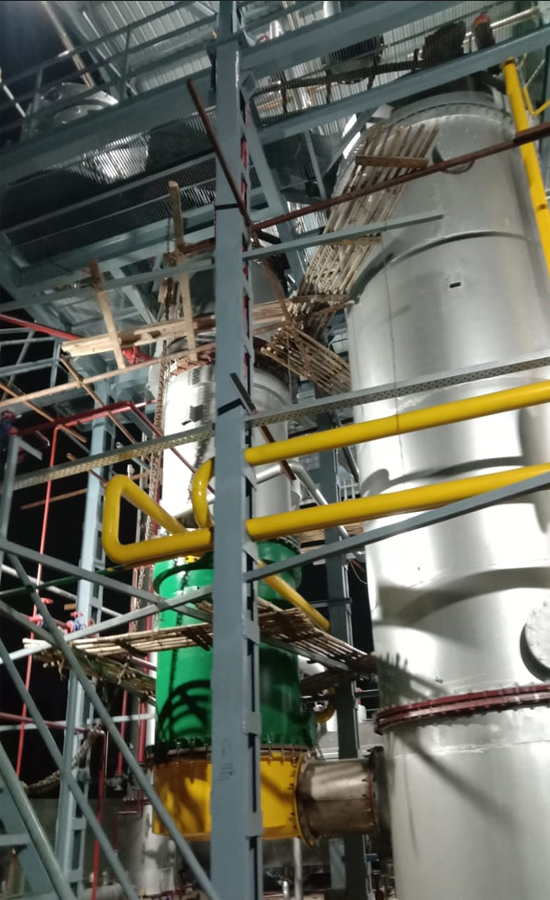 Plant view 5